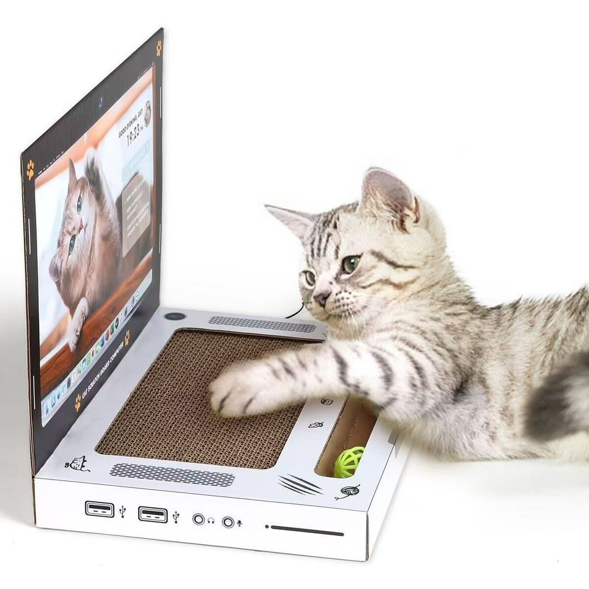https://img.crazysales.com.au/products_pictures/364/364960_3265224_F.jpg