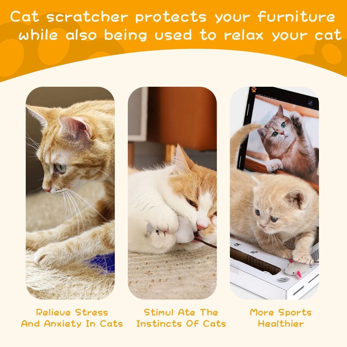 https://img.crazysales.com.au/products_pictures/364/364960_3265225_F.jpg
