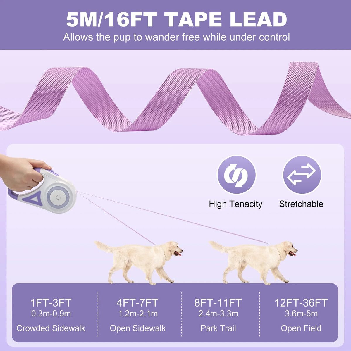 https://img.crazysales.com.au/products_pictures/364/364994_3265609_F.jpg
