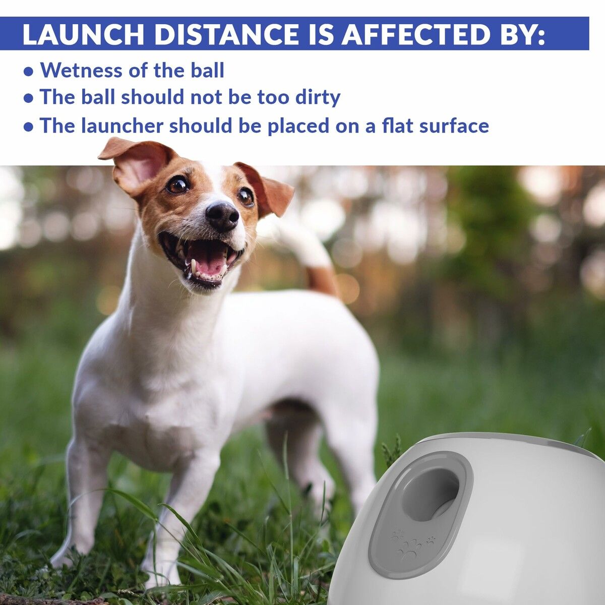 https://img.crazysales.com.au/products_pictures/365/365022_3265890_F.jpg