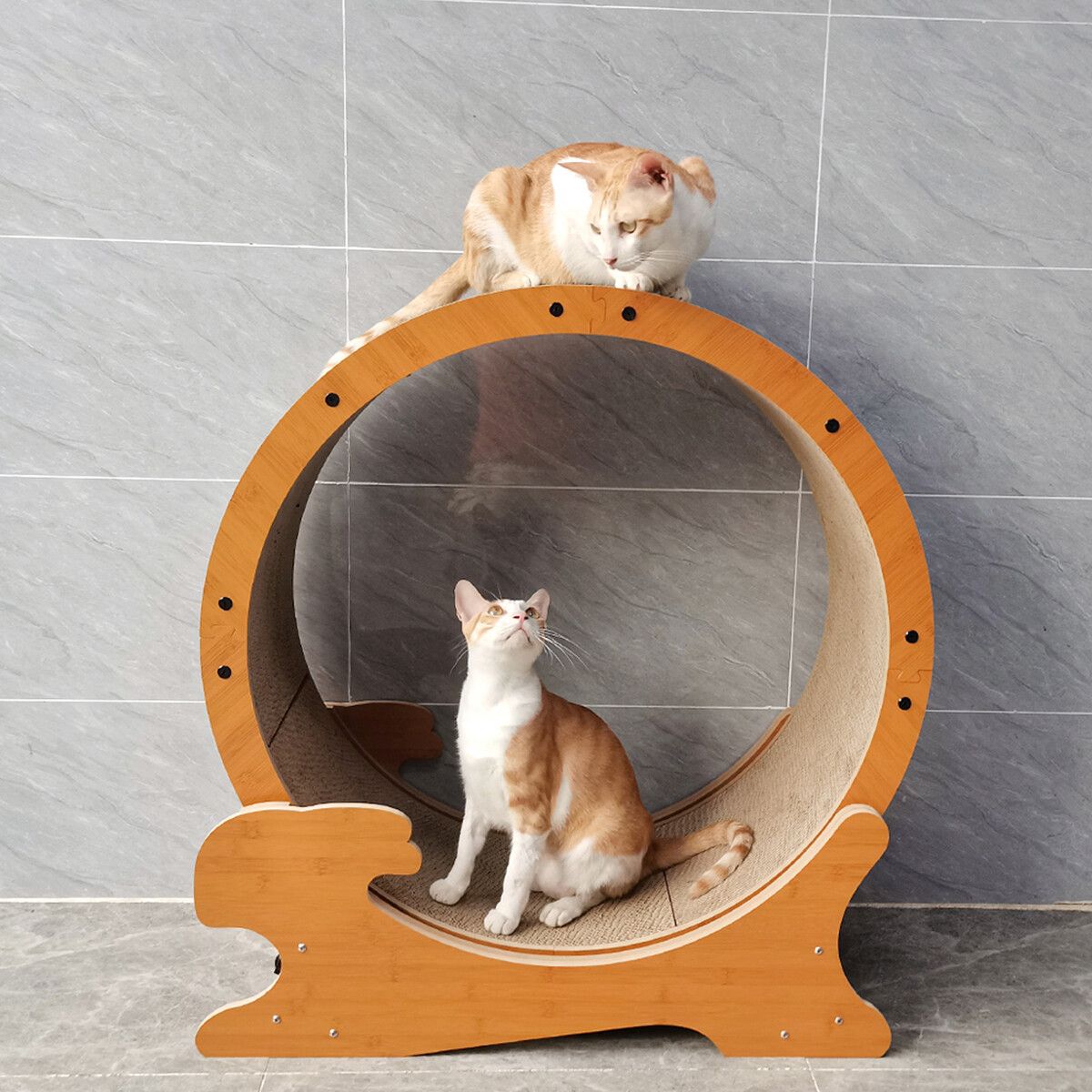 https://img.crazysales.com.au/products_pictures/365/365038_3266096_F.jpg