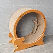 Cat Exercise Wheel Toy Running Exerciser Treadmill Scratching Furniture Scratcher Board Roller Indoor Kitten Play Gym Kitty Training Sports Equipment