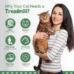 Cat Wheel Running Toy Exerciser Fitness Workout Treadmill Machine Indoor Feline Kitten Spinning Walking Training Kitty Play Gym Sports Circle Plastic