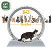 Cat Wheel Running Toy Exerciser Fitness Workout Treadmill Machine Indoor Feline Kitten Spinning Walking Training Kitty Play Gym Sports Circle Plastic