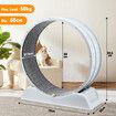 Cat Wheel Running Toy Exerciser Fitness Workout Treadmill Machine Indoor Feline Kitten Spinning Walking Training Kitty Play Gym Sports Circle Plastic