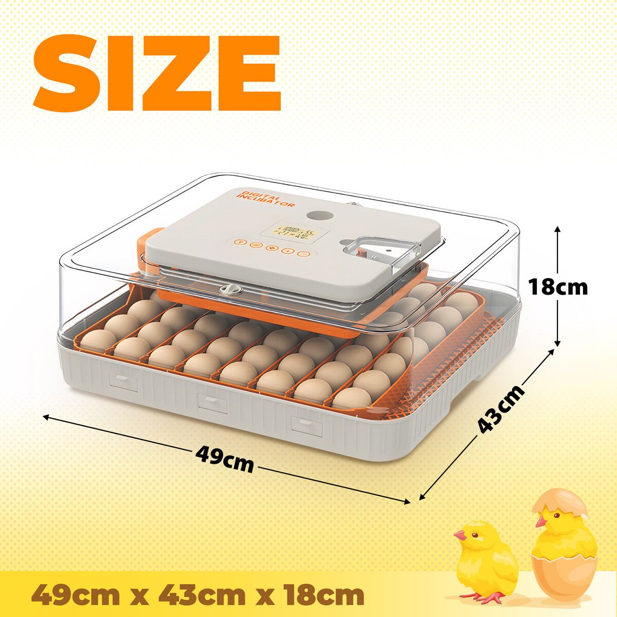 https://img.crazysales.com.au/products_pictures/365/365093_3266733_F.jpg