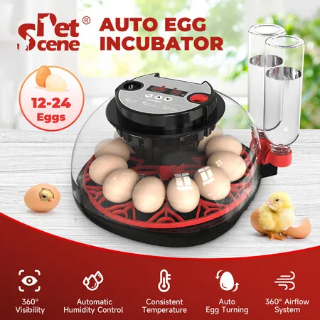 Digital Egg Incubator 12-24 Eggs Hatcher Breeder Automatic Hatching Machine Chicken Duck Bird Pigeon Quail Poultry Auto Turner Water Adding Candler