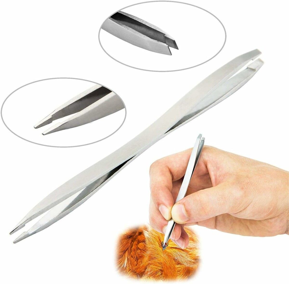https://img.crazysales.com.au/products_pictures/365/365306_3269262_F.jpg
