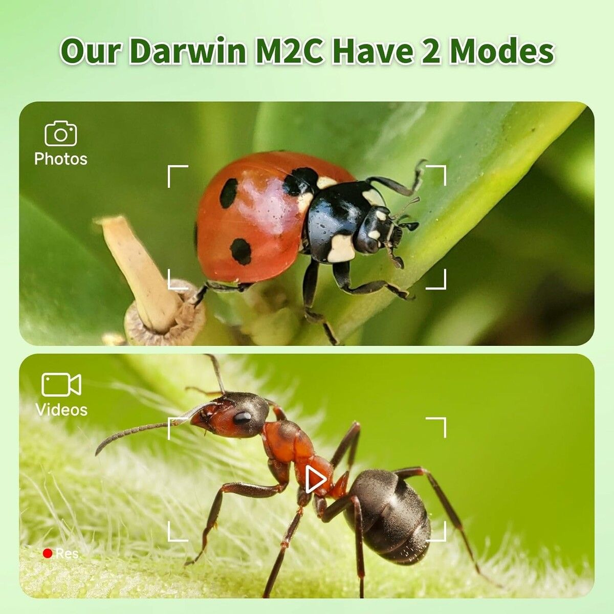 https://img.crazysales.com.au/products_pictures/365/365310_3269298_F.jpg