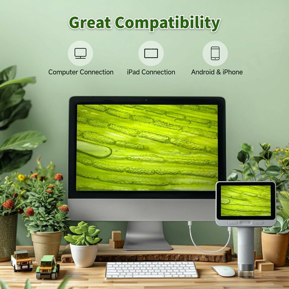 https://img.crazysales.com.au/products_pictures/365/365310_3269299_F.jpg