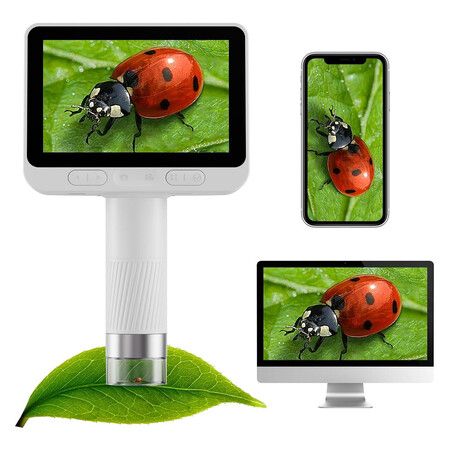 https://img.crazysales.com.au/products_pictures/365/365310_3269302_F.jpg