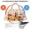 Insulated Lunch Bag for Women Men Large Reusable Lunch Box Men Women Leakproof Portable Cooler Tote Bags for Work Picnic