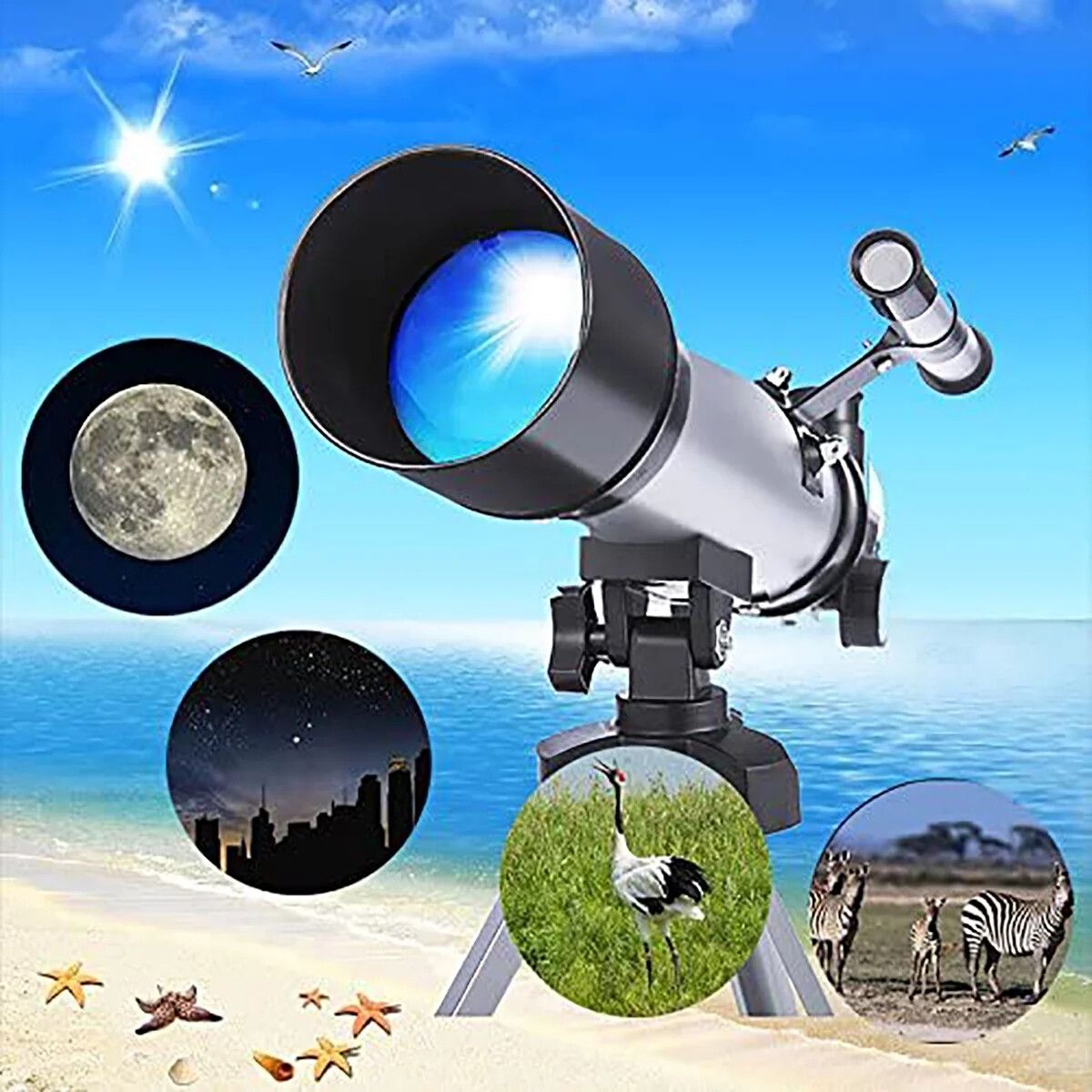 https://img.crazysales.com.au/products_pictures/365/365445_3270886_F.jpg