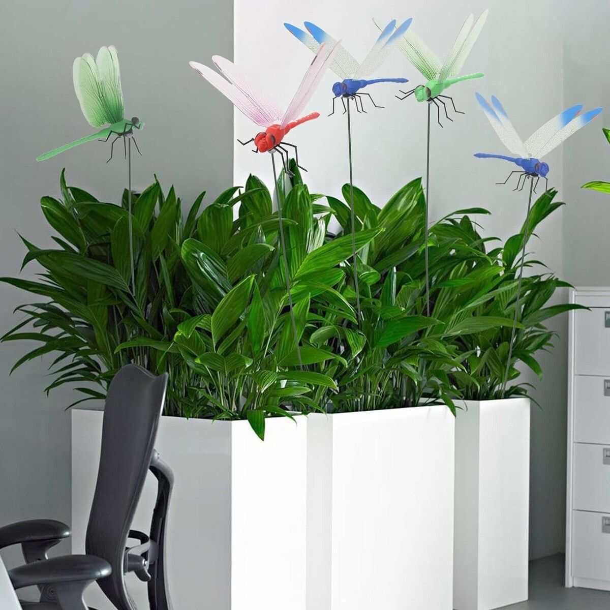 https://img.crazysales.com.au/products_pictures/365/365446_3270898_F.jpg