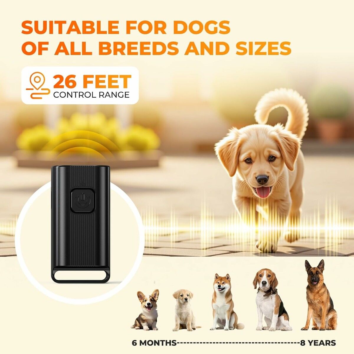 https://img.crazysales.com.au/products_pictures/365/365554_3272876_F.jpg