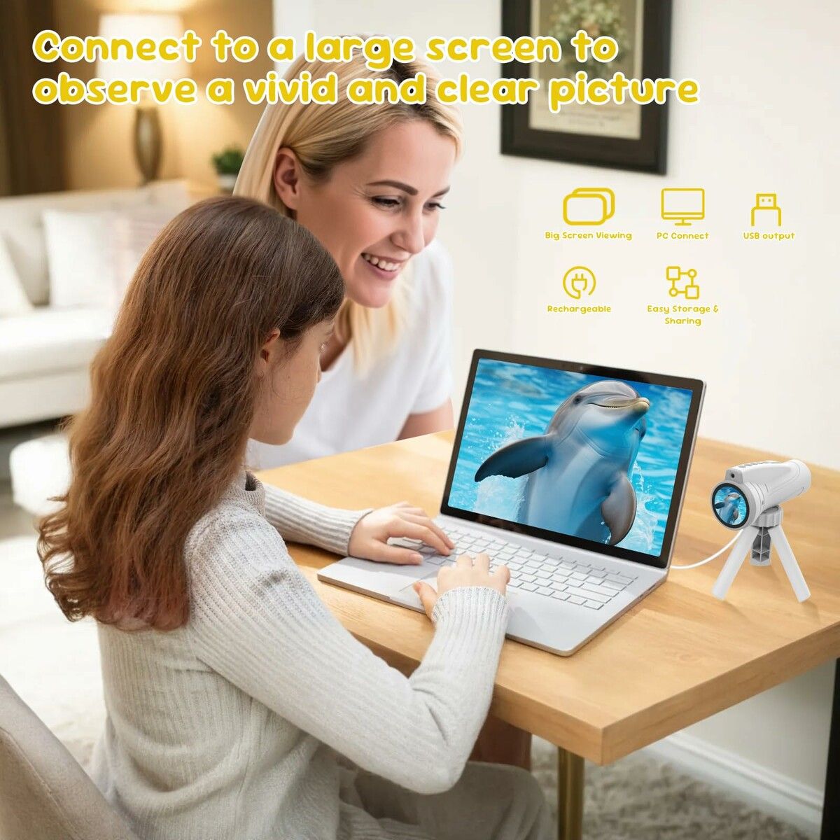 https://img.crazysales.com.au/products_pictures/365/365639_3274464_F.jpg