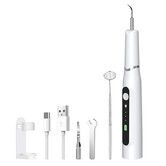 White Dog Ultrasonic Pet Tartar Removal Tooth Cleaner Cat Teeth Cleaning