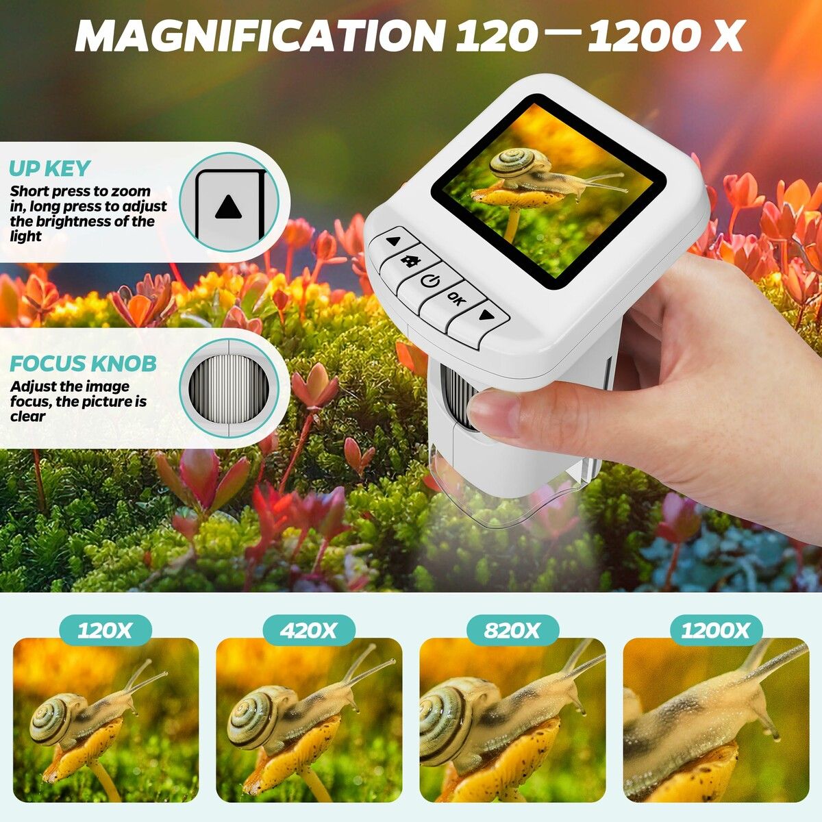 https://img.crazysales.com.au/products_pictures/365/365768_3275927_F.jpg