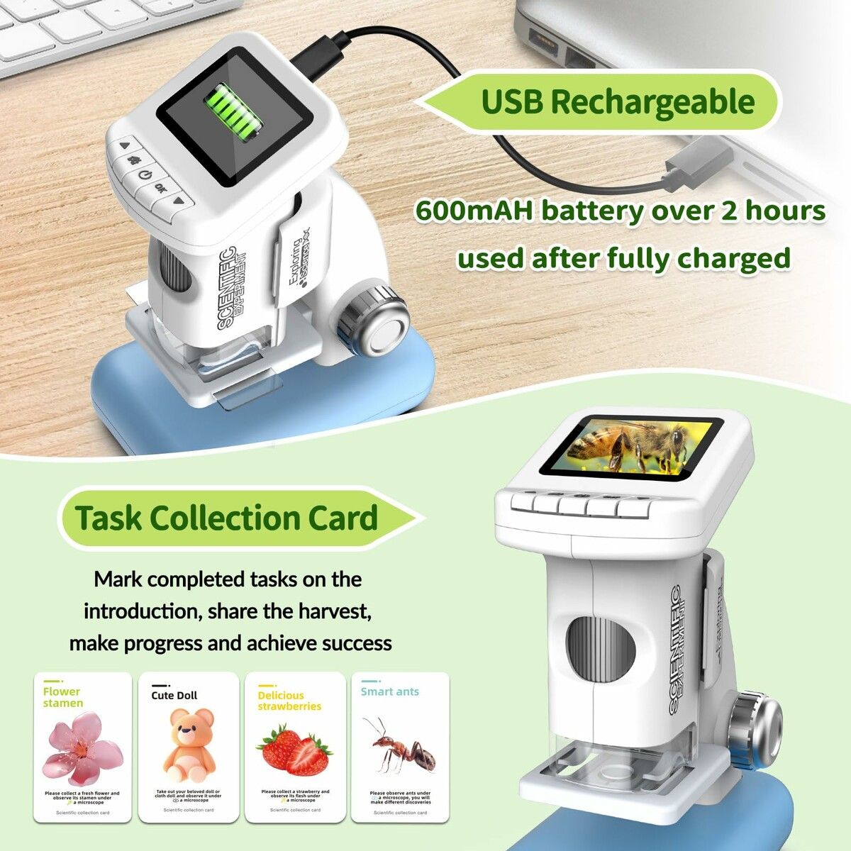 https://img.crazysales.com.au/products_pictures/365/365769_3275924_F.jpg