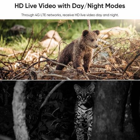 https://img.crazysales.com.au/products_pictures/365/365820_3276381_F.jpg