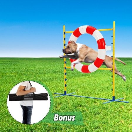 Portable Dog Jump Ring Agility Training Hoop Puppy Interactive Toys Exercise Equipment