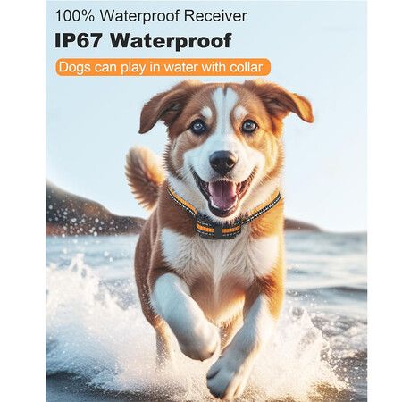 https://img.crazysales.com.au/products_pictures/366/366091_3281093_F.jpg
