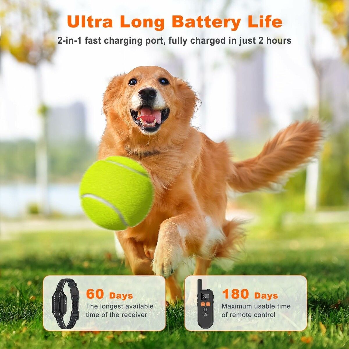 https://img.crazysales.com.au/products_pictures/366/366126_3281539_F.jpg