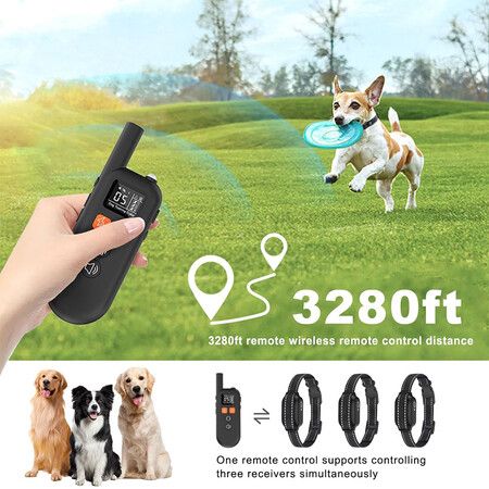 https://img.crazysales.com.au/products_pictures/366/366126_3281547_F.jpg