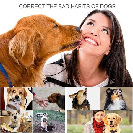 https://img.crazysales.com.au/products_pictures/366/366128_3281559_F.jpg