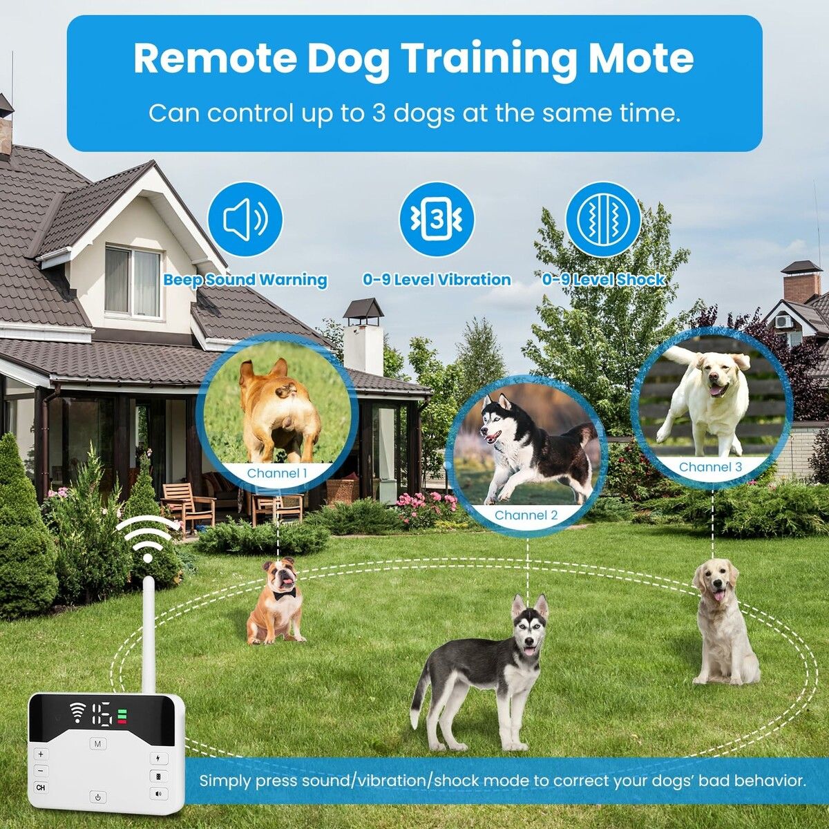 https://img.crazysales.com.au/products_pictures/366/366144_3281736_F.jpg