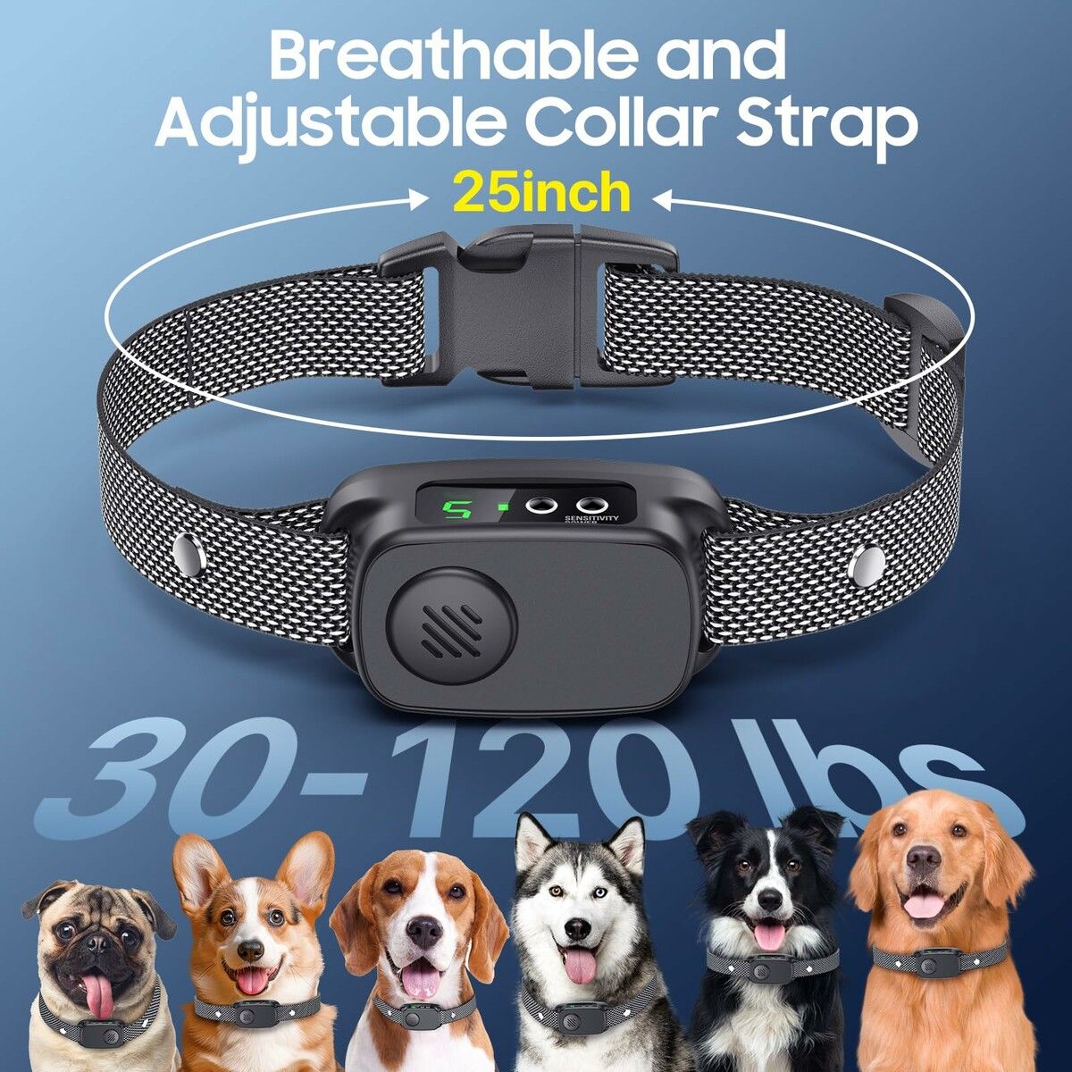 https://img.crazysales.com.au/products_pictures/366/366182_3282636_F.jpg