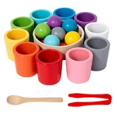 Montessori Wooden Toy Color Cups Matching Sorting Cognition Game Training Early Education Learning Educational Toys For Kids 3+