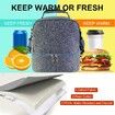 Lunch Box for Women Men, Large Double Deck Lunch Tote Bag Meal Prep Containers Reusable Leakproof Lunch Cooler Bag for Work Office Picnic (Grey)