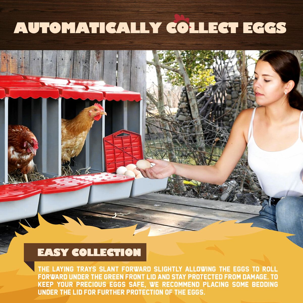 https://img.crazysales.com.au/products_pictures/366/366321_3284223_F.jpg