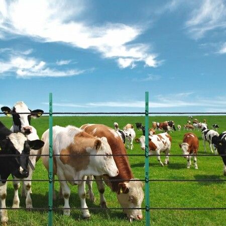 1000Ft 305M Electric Fence Wire Fencing Polywire Horse Cattle Livestock