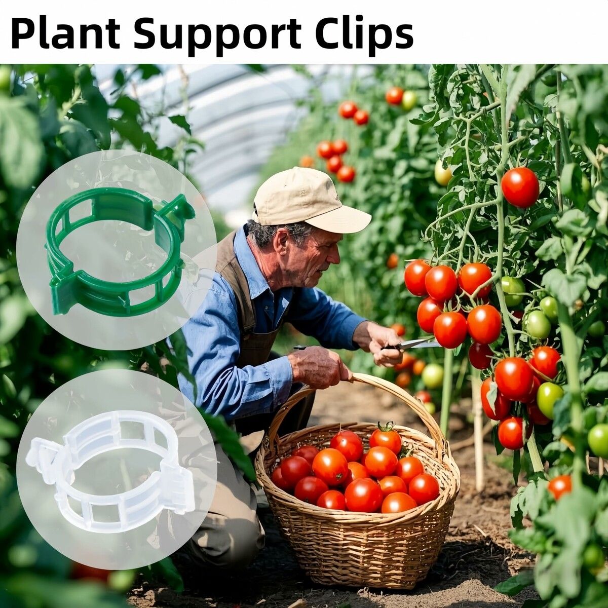 https://img.crazysales.com.au/products_pictures/366/366443_3285487_F.jpg