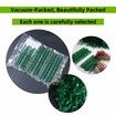 100 Pcs Plant Support Clips,Plastic Clips for Securing Plants,Tomato Vine Clips,Plant Fixing Clips,Garden Clips