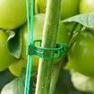 100 Pcs Plant Support Clips,Plastic Clips for Securing Plants,Tomato Vine Clips,Plant Fixing Clips,Garden Clips