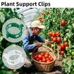 100 Pcs Plant Support Clips,Plastic Clips for Securing Plants,Tomato Vine Clips,Plant Fixing Clips,Garden Clips