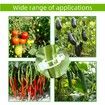 100 Pcs Plant Support Clips,Plastic Clips for Securing Plants,Tomato Vine Clips,Plant Fixing Clips,Garden Clips