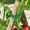 100 Pcs Plant Support Clips,Plastic Clips for Securing Plants,Tomato Vine Clips,Plant Fixing Clips,Garden Clips