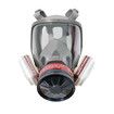Full Face Gas Mask, Gas Masks Survival and Chemical with 40mm Activated Carbon Filter for Gases, Vapors, Dust, Chemicals