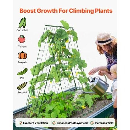 https://img.crazysales.com.au/products_pictures/366/366538_3286395_F.jpg