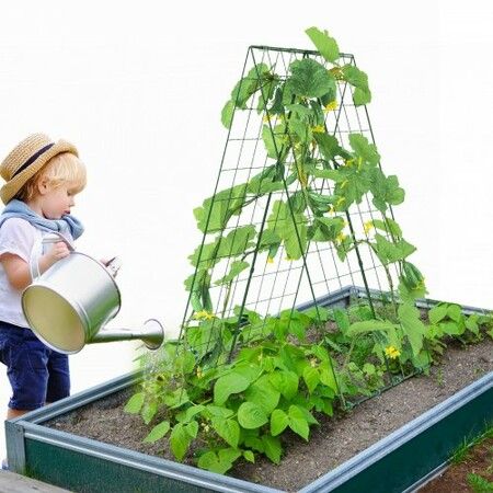 https://img.crazysales.com.au/products_pictures/366/366538_3286400_F.jpg