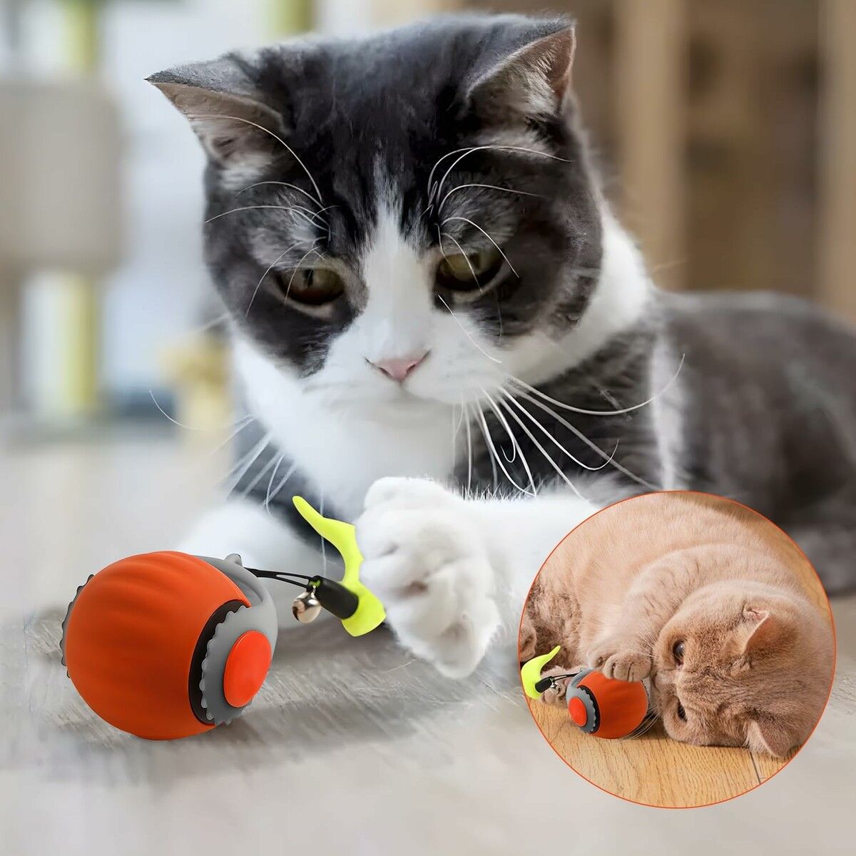 https://img.crazysales.com.au/products_pictures/366/366645_3287430_F.jpg
