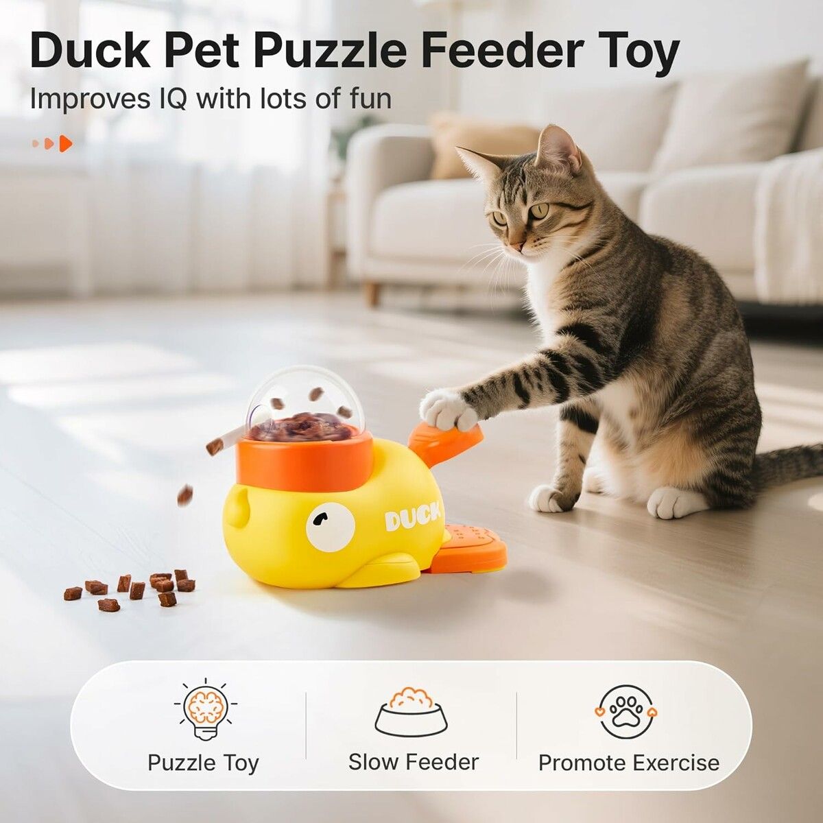 https://img.crazysales.com.au/products_pictures/366/366646_3287435_F.jpg
