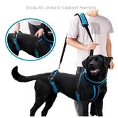 Dog Lifting Harness,Adjustable Shoulder Hip Harness with Handle and Shoulder Strap, Support Hind Legs for Elderly Dogs, Hip Dysplasia-Size L