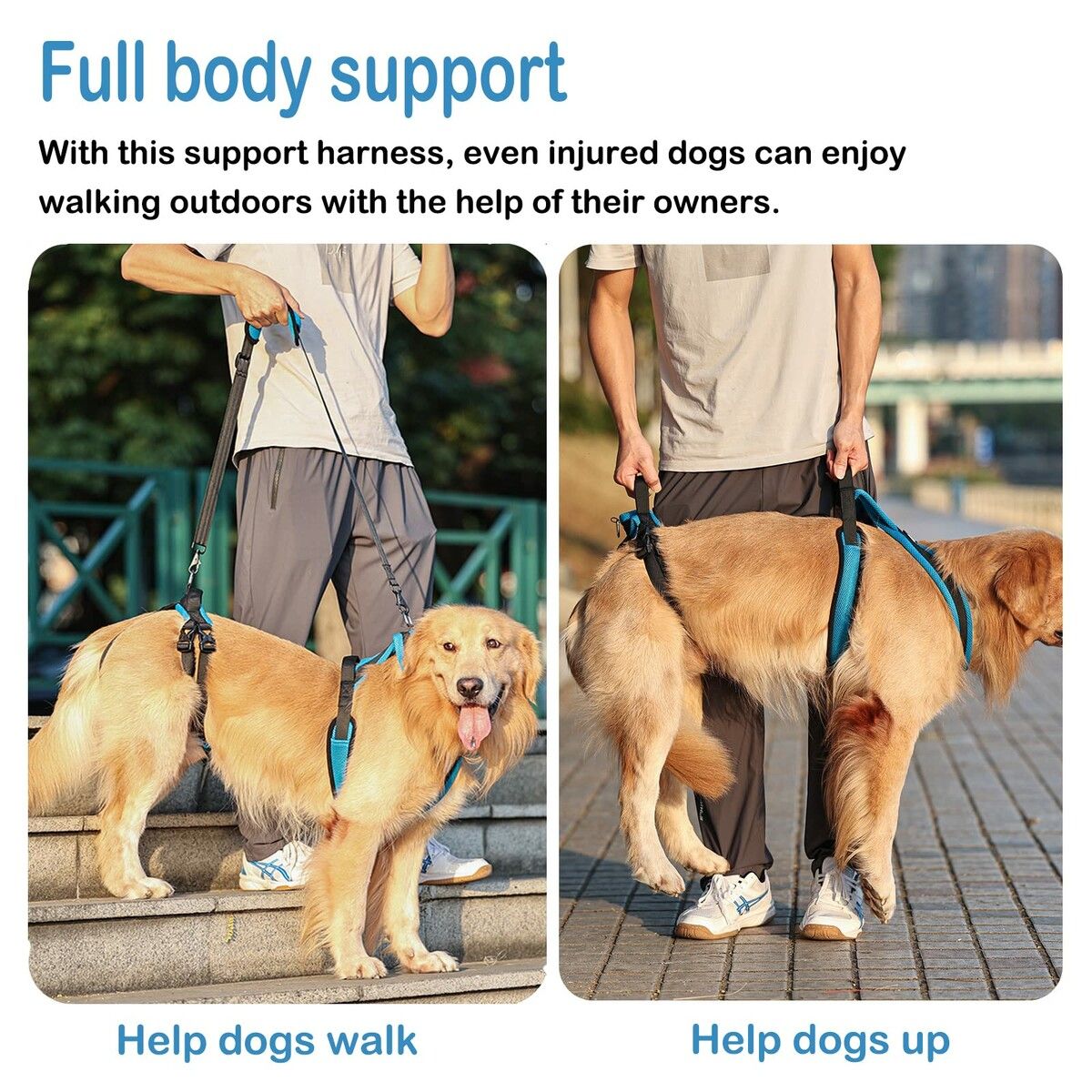 https://img.crazysales.com.au/products_pictures/366/366687_3287883_F.jpg