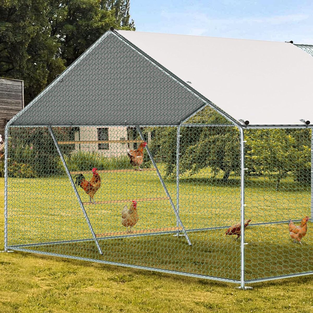 https://img.crazysales.com.au/products_pictures/366/366793_3288987_F.jpg