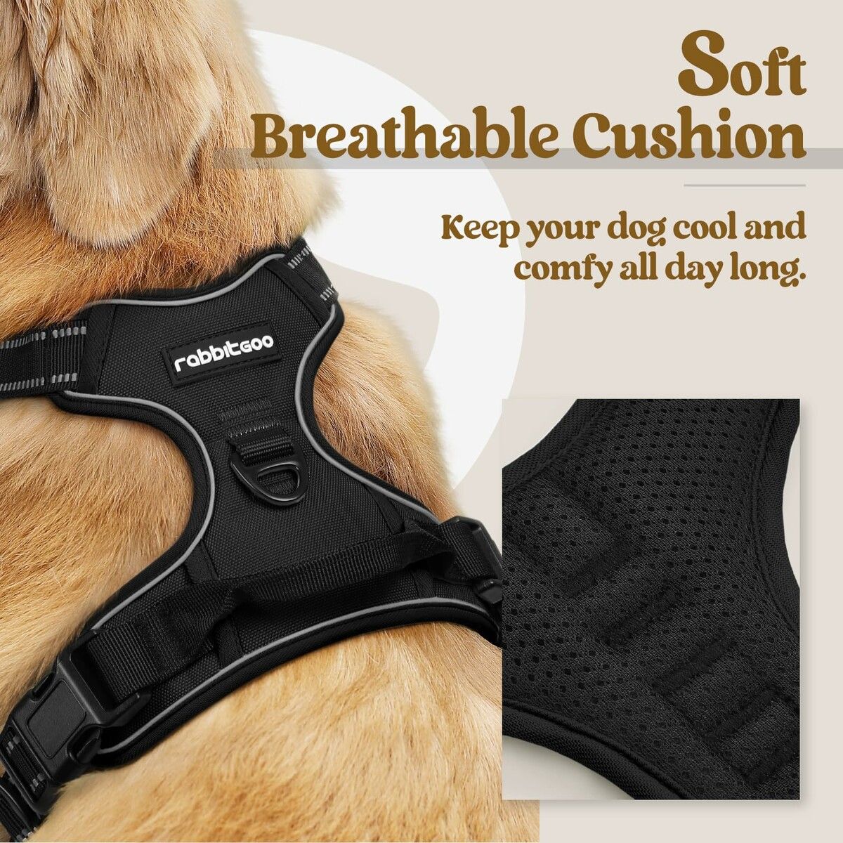 https://img.crazysales.com.au/products_pictures/366/366806_3289106_F.jpg
